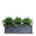 Onion & Orchard Grass w/Vine x3 in 65" Planter 40"H Green / Gray Planter / Standard