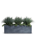 Onion & Orchard Grass w/Vine x3 in 65" Planter 40"H Gray Green / Gray Planter / Standard