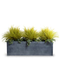 Onion & Orchard Grass w/Vine x3 in 65" Planter 40"H Yellow Green / Gray Planter / Standard