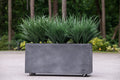 Orchard Grass x3 and 45" Planter Green / Gray Planter / W/Locking Caster Wheels