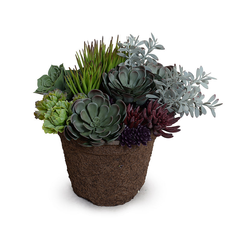 Mixed Succulents Arrangement