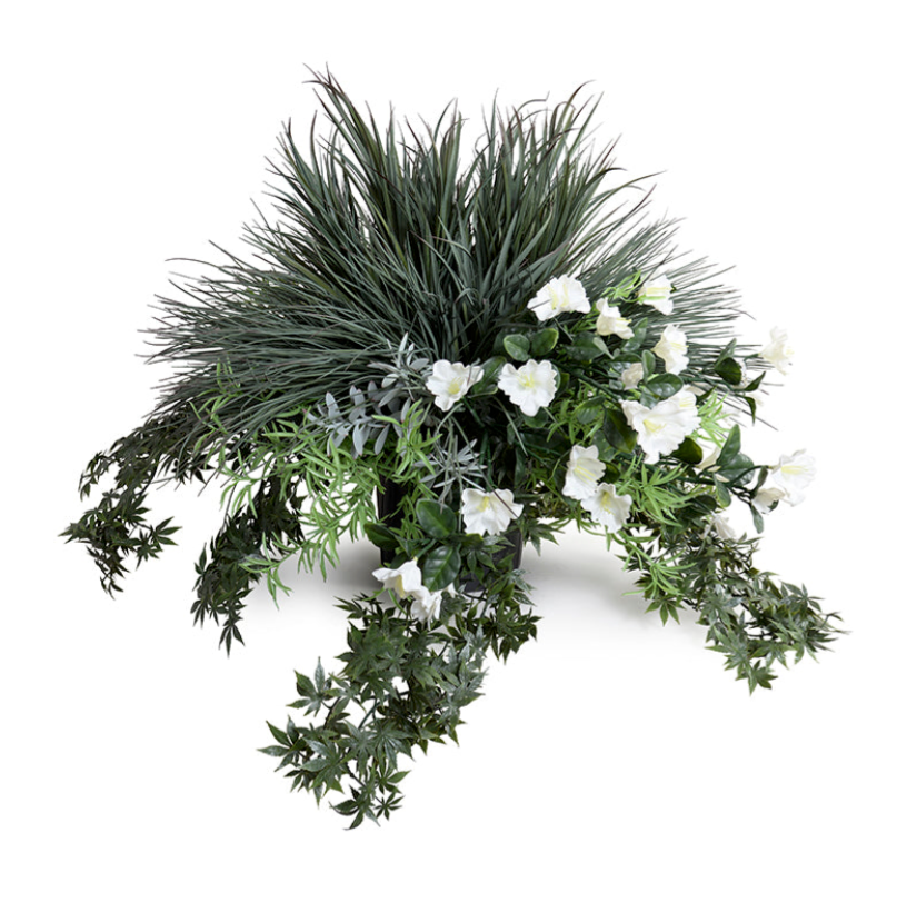 Petunias, Grasses, Ivy & Succulents Arrangement