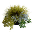 Grasses, Succulents & Ivy Arrangement