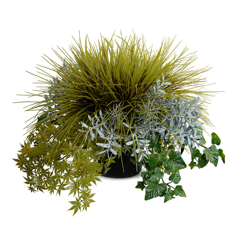 Grasses, Succulents & Ivy Arrangement