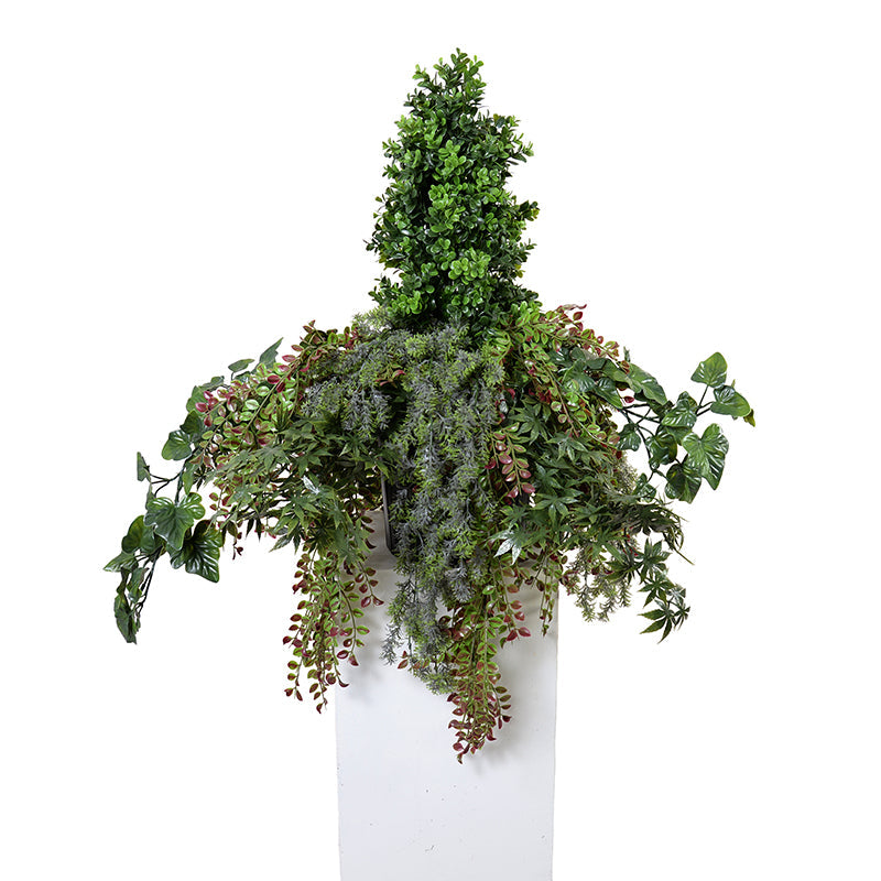 Boxwood & Vines Arrangement