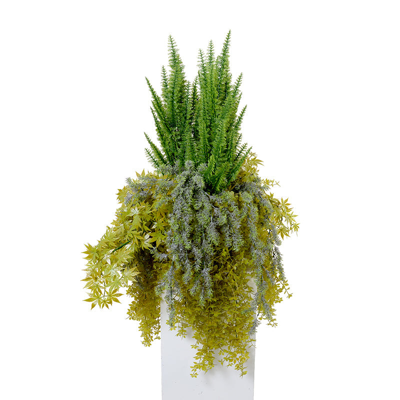 Foxtail Fern & Vines Arrangement