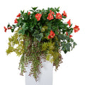 Petunias & Vines Arrangement Orange-red