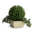 Boxwood Ball w/vine arrangement 17"H