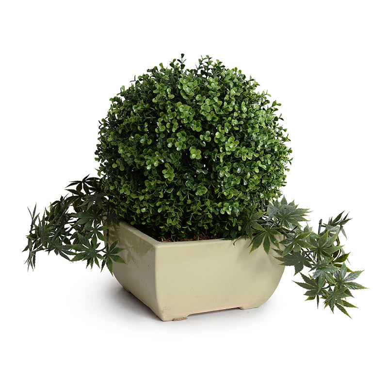 Boxwood Ball w/vine arrangement 17"H
