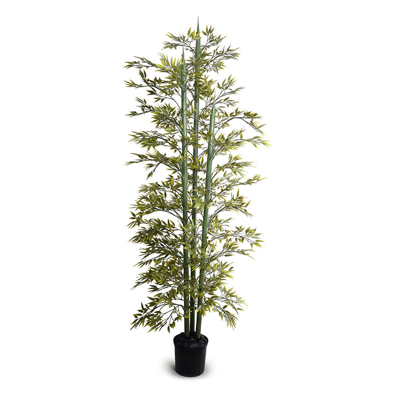 Bamboo Tree w/3 Stalks 9'H