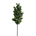 Boxwood Shrub Branch 30"