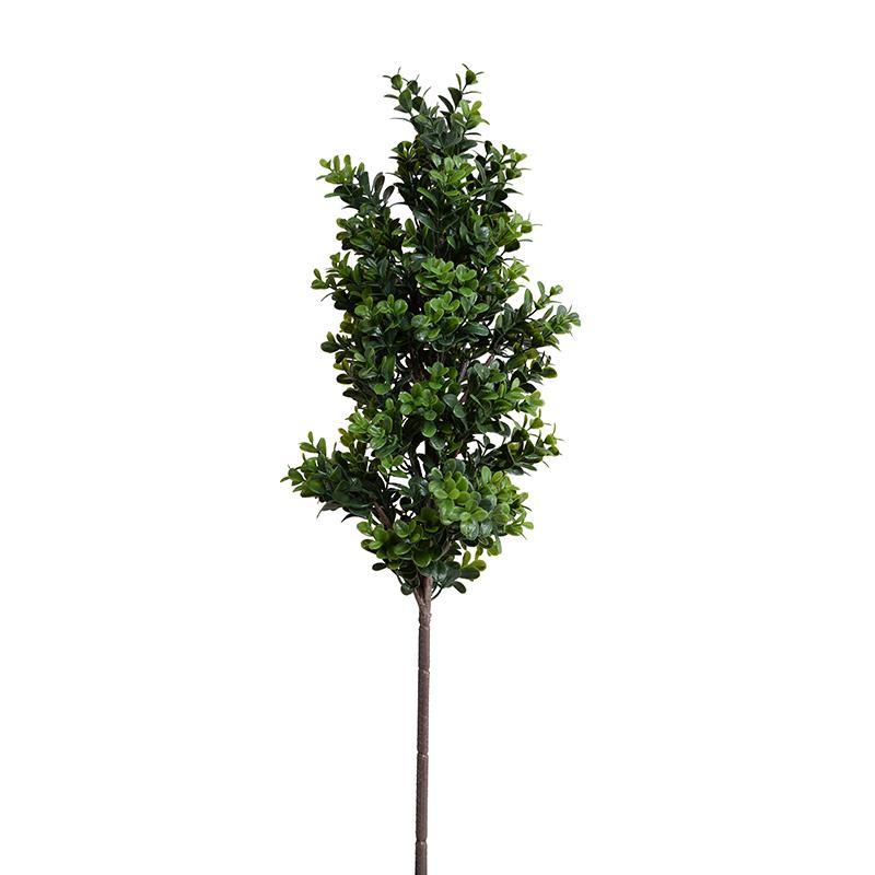 Boxwood Shrub Branch 30"