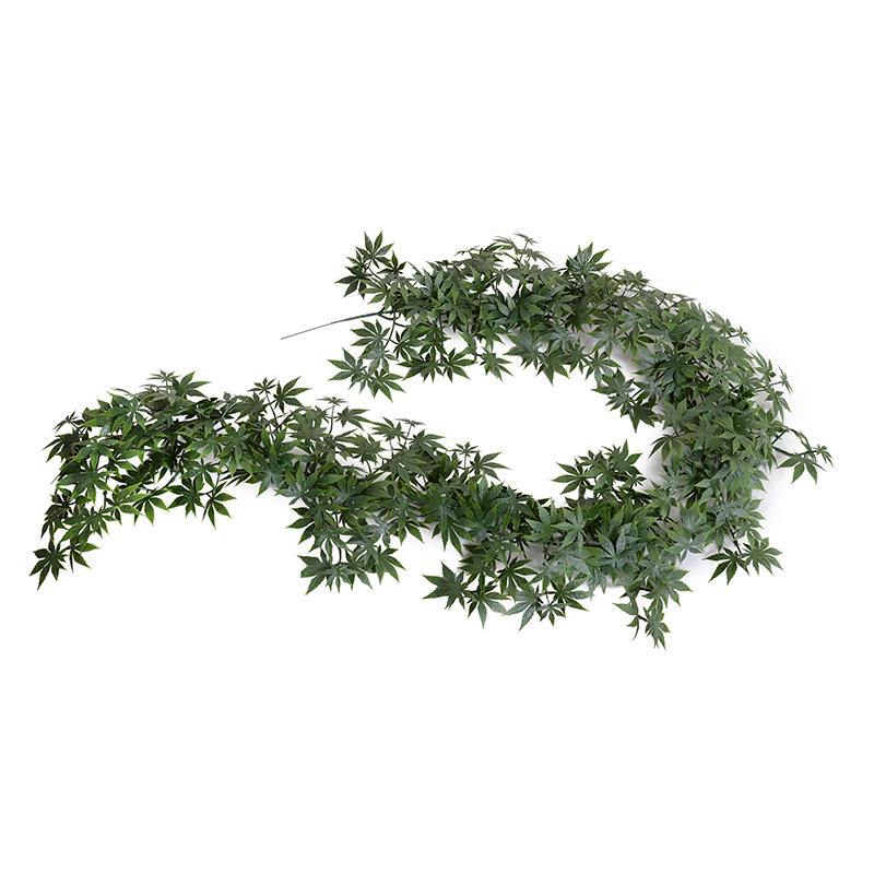 Japanese Maple Leaf Vine 6' Green