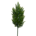 Arborvitae Branch - 33"L