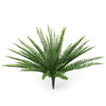 Sword Fern 28"H Stem Only