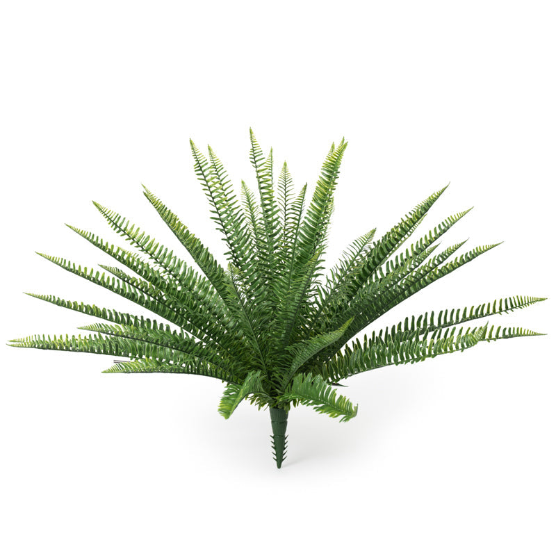 Sword Fern 28"H Stem Only