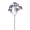 Gypsophila Spray 25.5"