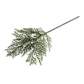 Cedar Spray 24"