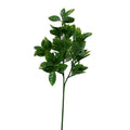 Holly Leaf Stem 25"L