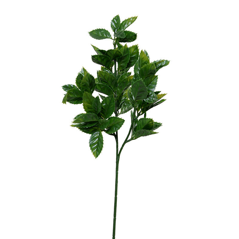 Holly Leaf Stem 25"L