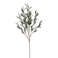 Olive Leaf spray 32"L