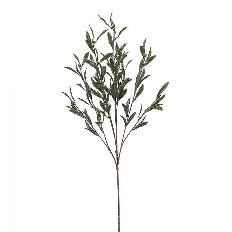 Olive Leaf spray 32"L