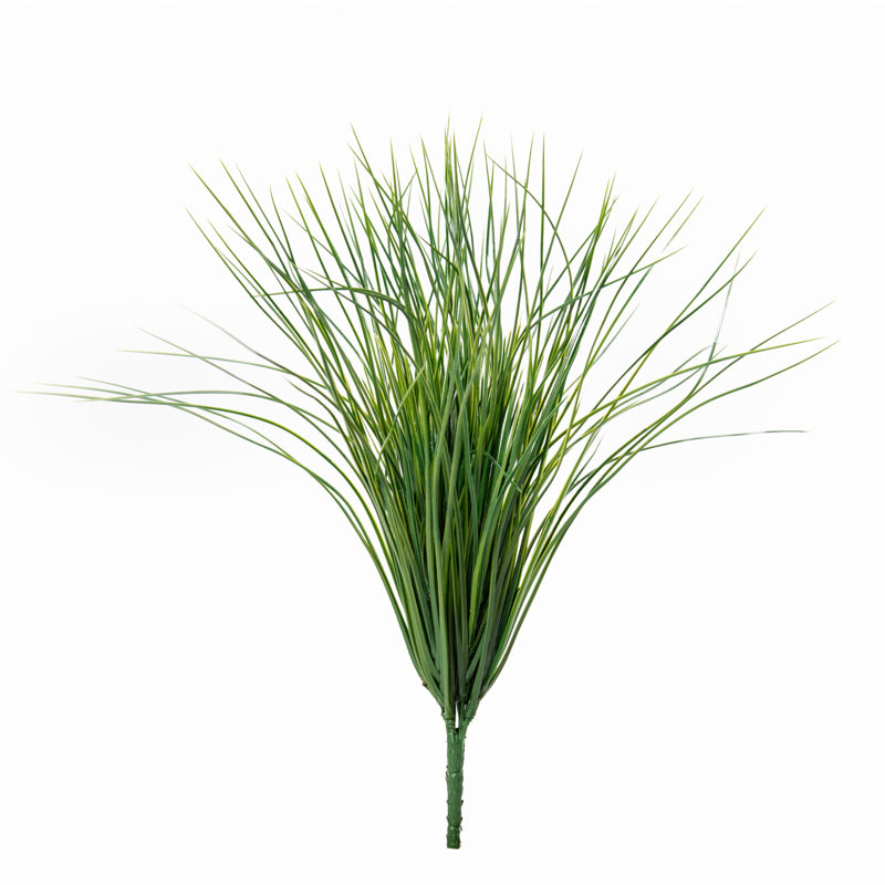 Onion Grass Spray 20" Green