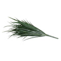 Deluxe Orchard Grass -  30"H Green