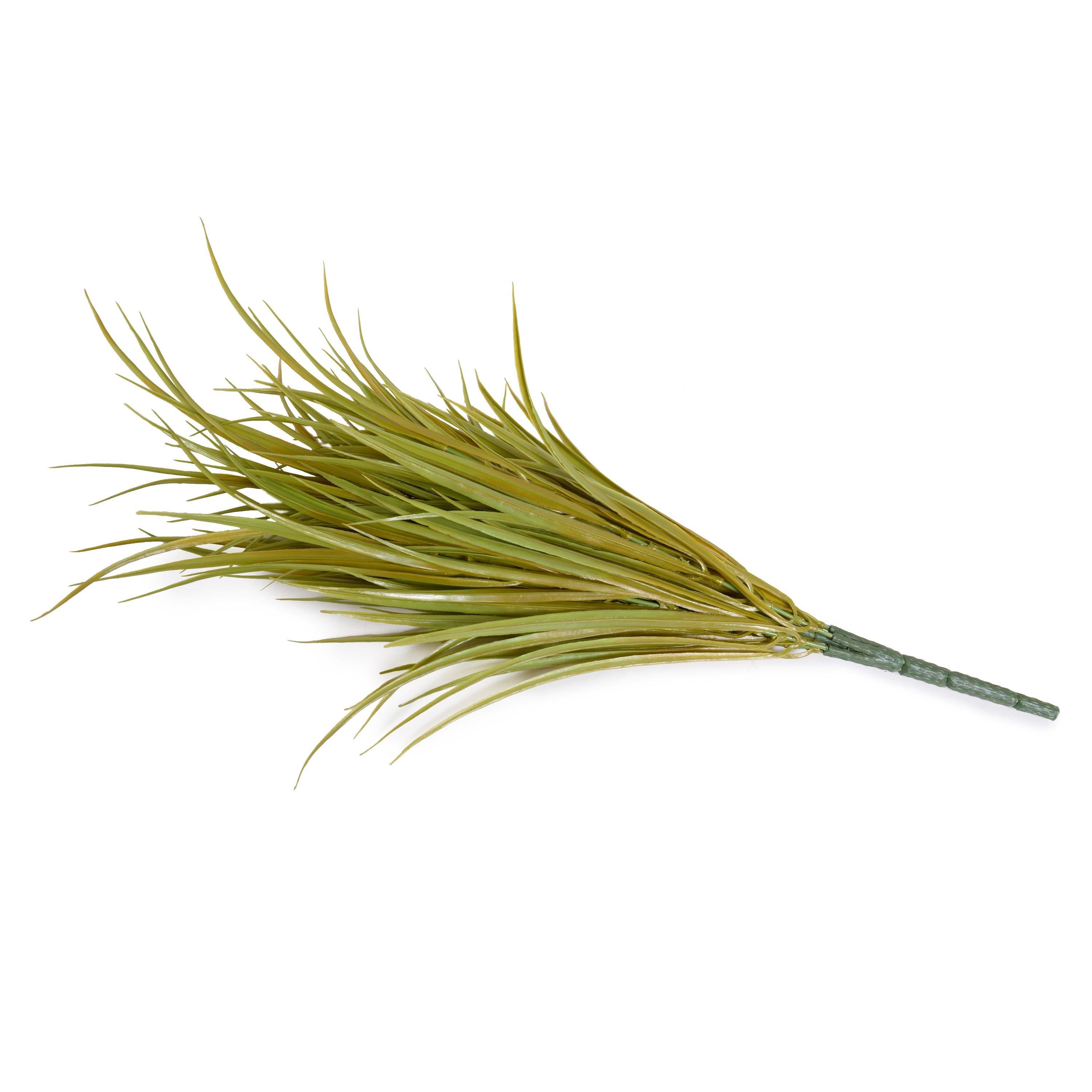 Orchard Grass Spray 24" Yellow Green