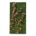 4' x 8' Green Wallscape Kit - Tea Leaf, Ivy, Succulents