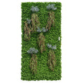 4' x 8' Green Wallscape Kit - Peperomia, Vinca, Succulents