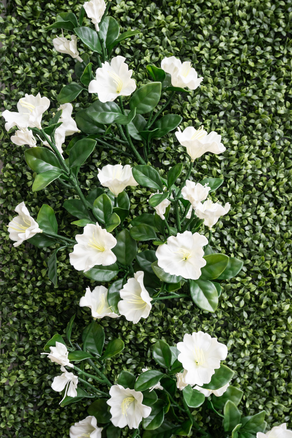 4' x 8' Wallscape Kit - Pachysandra, Grasses, Ivy, Petunia White