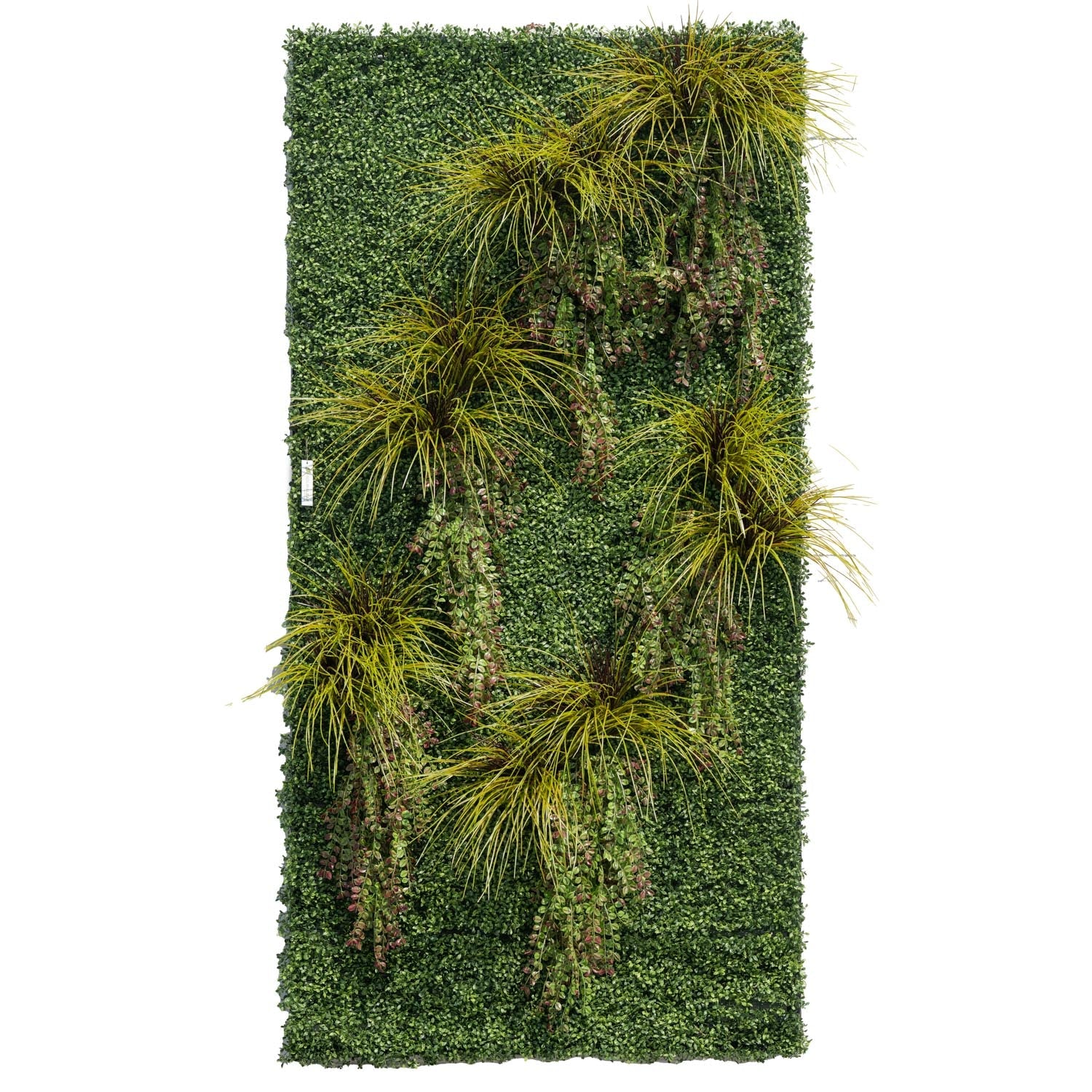 4' x 8' Green Wallscape Kit - Tea Leaf, Onion Grass, Vinca Vines