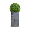 Boxwood Ball in Column Planter 22"