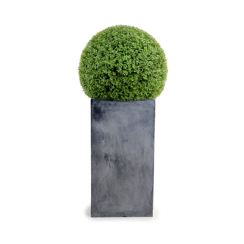 Boxwood Ball in Column Planter 22"