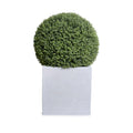 Boxwood Ball 28" in Square Planter 42"H