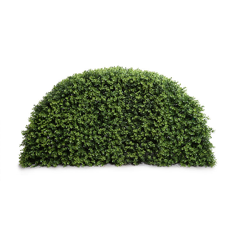 Boxwood Arc Hedge 44.5"