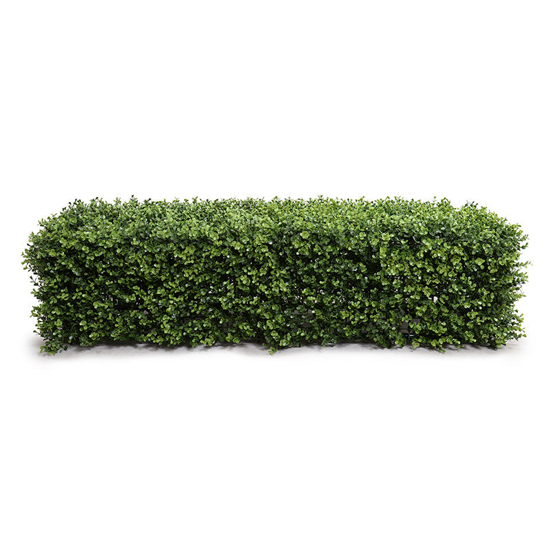 Boxwood Hedge 12"H 44.5"
