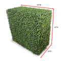 Boxwood Deep Hedge 42"