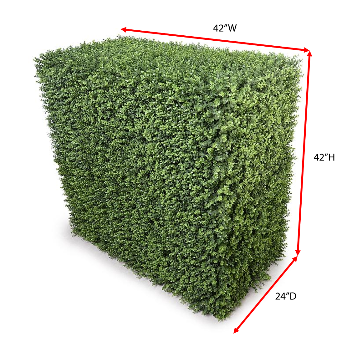 Boxwood Deep Hedge 42"