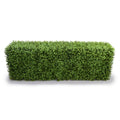 Boxwood Hedge 22"H 64.5"