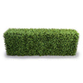 Boxwood Hedge 22"H 24.5"