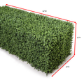 Boxwood Deep Hedge 62"