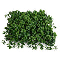 Pachysandra Panel 12"