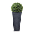 Boxwood Ball in Tapered Column 18"