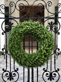 Enduraleaf Boxwood Double-sided Wreath 26"