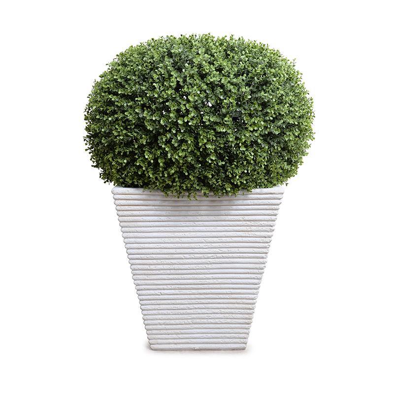 Boxwood Pumpkin in Planter White Ribbed Planter 34"