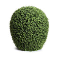 Boxwood Lantern
