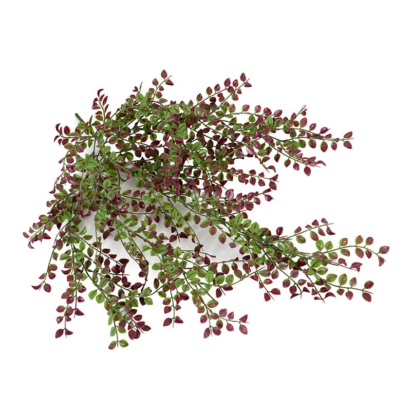 Cascading Vine Sprays 30" Vinca