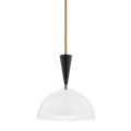 Payson Pendant